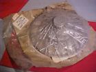 30212-10 3012-10 Superior Unused Vintage Wire Wheel Hubap Cover Papers