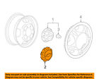 9597789 Gm Oem-wheel Center Cap