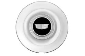 Gm 84479912 Genuine Wheel Center Caps