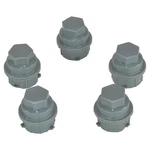 Dorman Gray Lug Nut Caps M24-2.0 X 3MM Kit Of 5 For Buick Chevy Pontiac Saturn. Fixed Price $22.95.