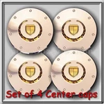 Set Chrome Gold 2003-2004 Cadillac Cts Wheel Center Replica Hubcaps. Fixed Price $180.00.