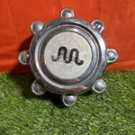 2003 2004 Ford F250 F350 King Ranch Rear Single Wheel Center Cap Oem. Fixed Price $70.00.