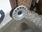 1985 1986 1987 Chevy Camaro Berlinetta 14" Hubcap Wheel Cover Gm 10052363. Fixed Price $20.00.