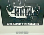 97-06 Jeep Tj Wrangler 97-01 Cherokee Xj 2" Center Caps Set Of 5DY07TRMAB Nice. Fixed Price $60.06.