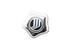 New Oem Ford F67Z-1130-GA, YL24-1A096-EB Chrome Center Cap Nos. Fixed Price $38.99.