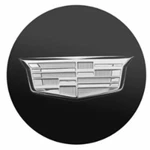 Genuine Gm Wheel Center Caps Silver /color Crest 19329848. Fixed Price $40.50.
