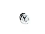 Mopar Parts 6PG01SZ0AA Wheel Cap. Fixed Price $40.63.