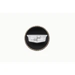 Genuine Gm Center Cap 84718962. Fixed Price $38.46.