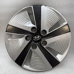 Hyundai Ioniq Oem 52961 G2000. Fixed Price $65.00.