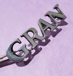 BIN19 Ford 1972 1973 1974 Torino "gran" Chrome Emblem Badge D20B-16098-EA. Fixed Price $15.99.