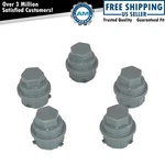 Dorman Gray Lug Nut Caps M24-2.0 X 3MM Kit Of 5 For Buick Chevy Pontiac Saturn. Fixed Price $22.85.