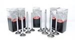 73 74 75 76 77 78 79 80 American Motors 258 4.2L L6 -6 Intake & Exhaust Valves. Fixed Price $105.00.