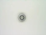 For 1979, 1986 Chevrolet C70 Release Bearing Sachs 85996BX 5.7L V8. Fixed Price $38.57.