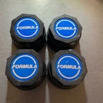 Panasport Formula Center Caps Jdm Japan Bbs Enkei Watanabe Hayashi Ssr Volk Rays. Fixed Price $169.00.