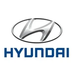 Genuine Hyundai Wheel Cover 52960-22490. Fixed Price $50.39.