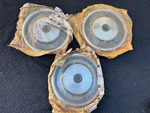 1976-1980 Dodge Aspen Plymouth Volare Nos Mopar Hub Caps (3) 3699074. Fixed Price $345.00.